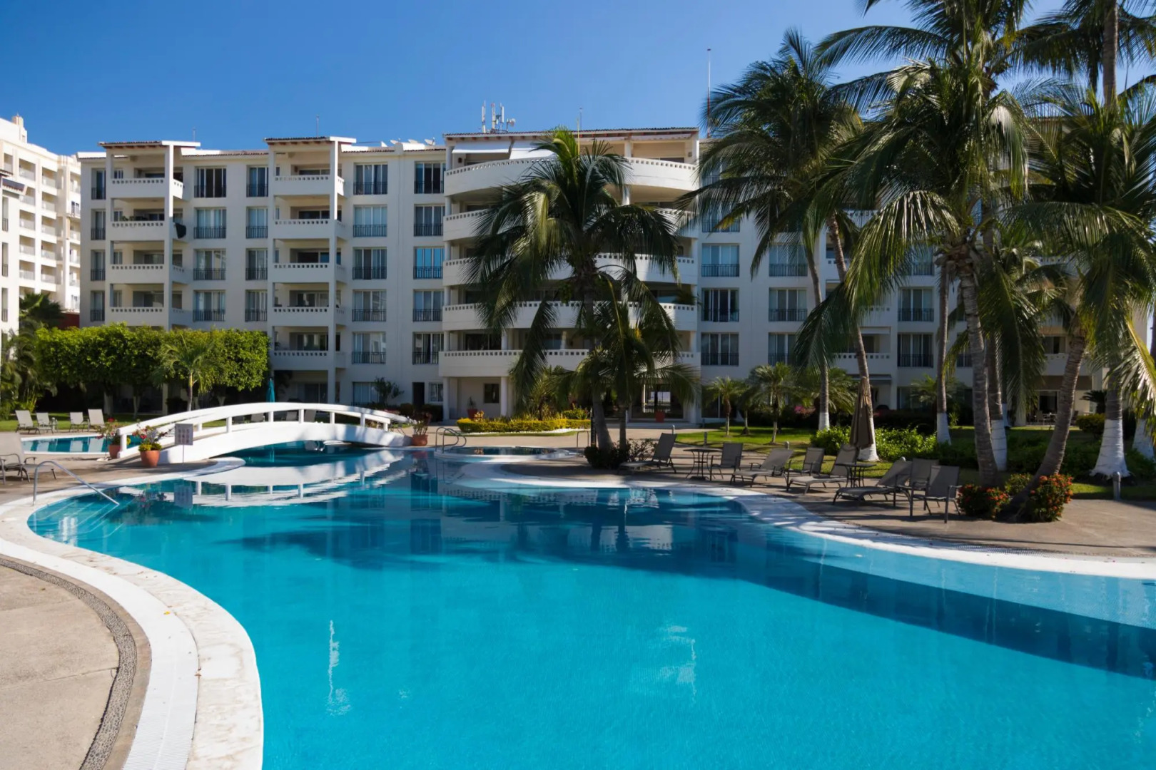 Flamingos Conchas 502