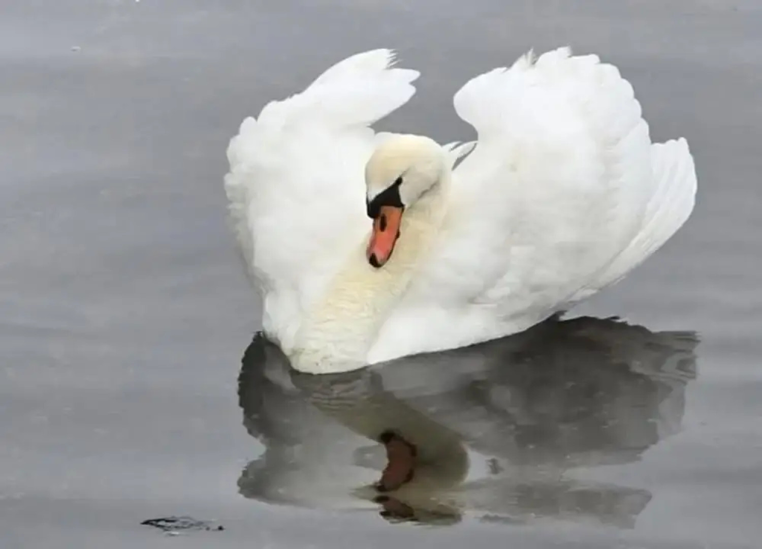 Stylish 2-bedroom Apartment in Delft