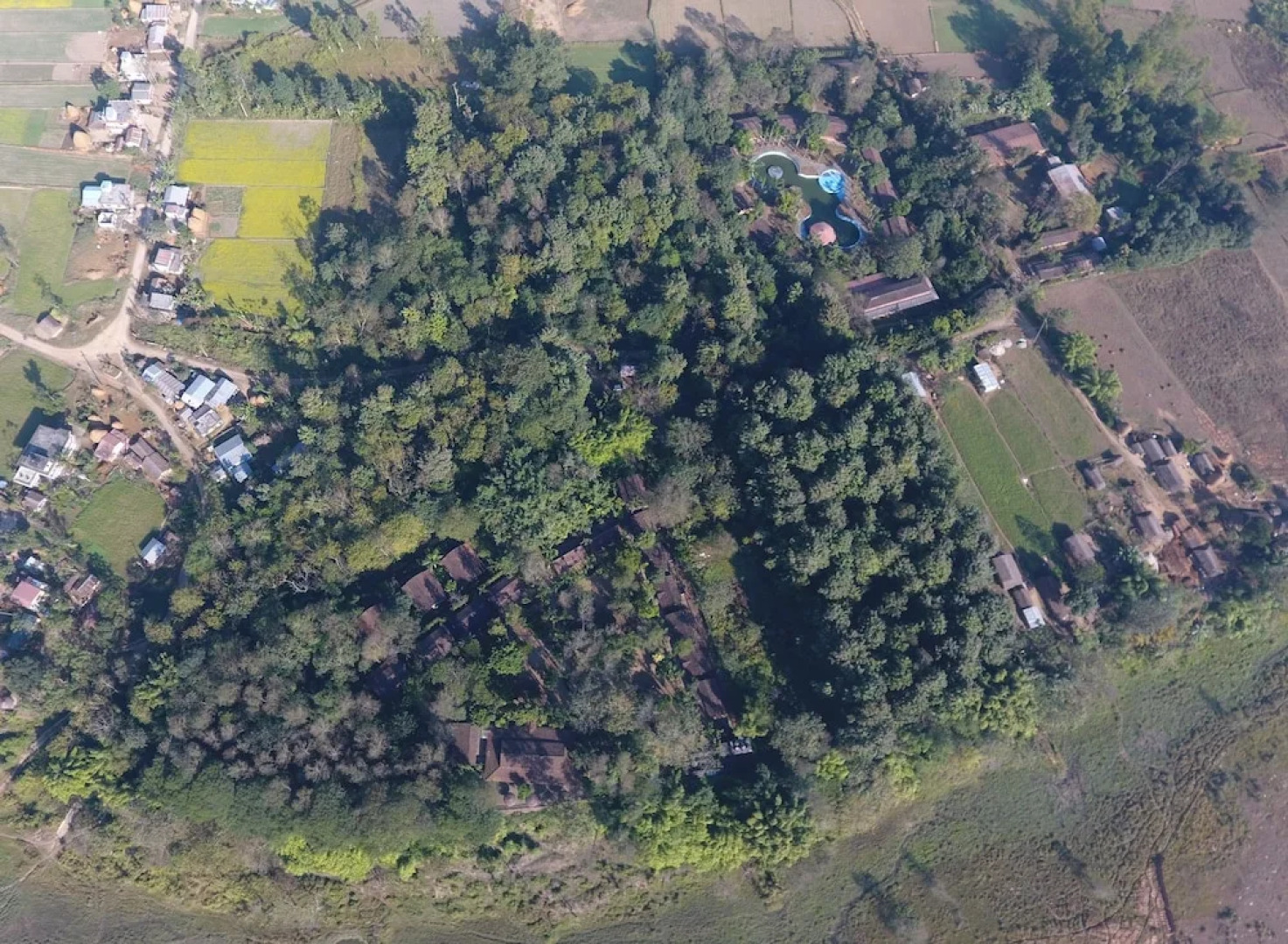 Safari Narayani Hotel- All Inclusive