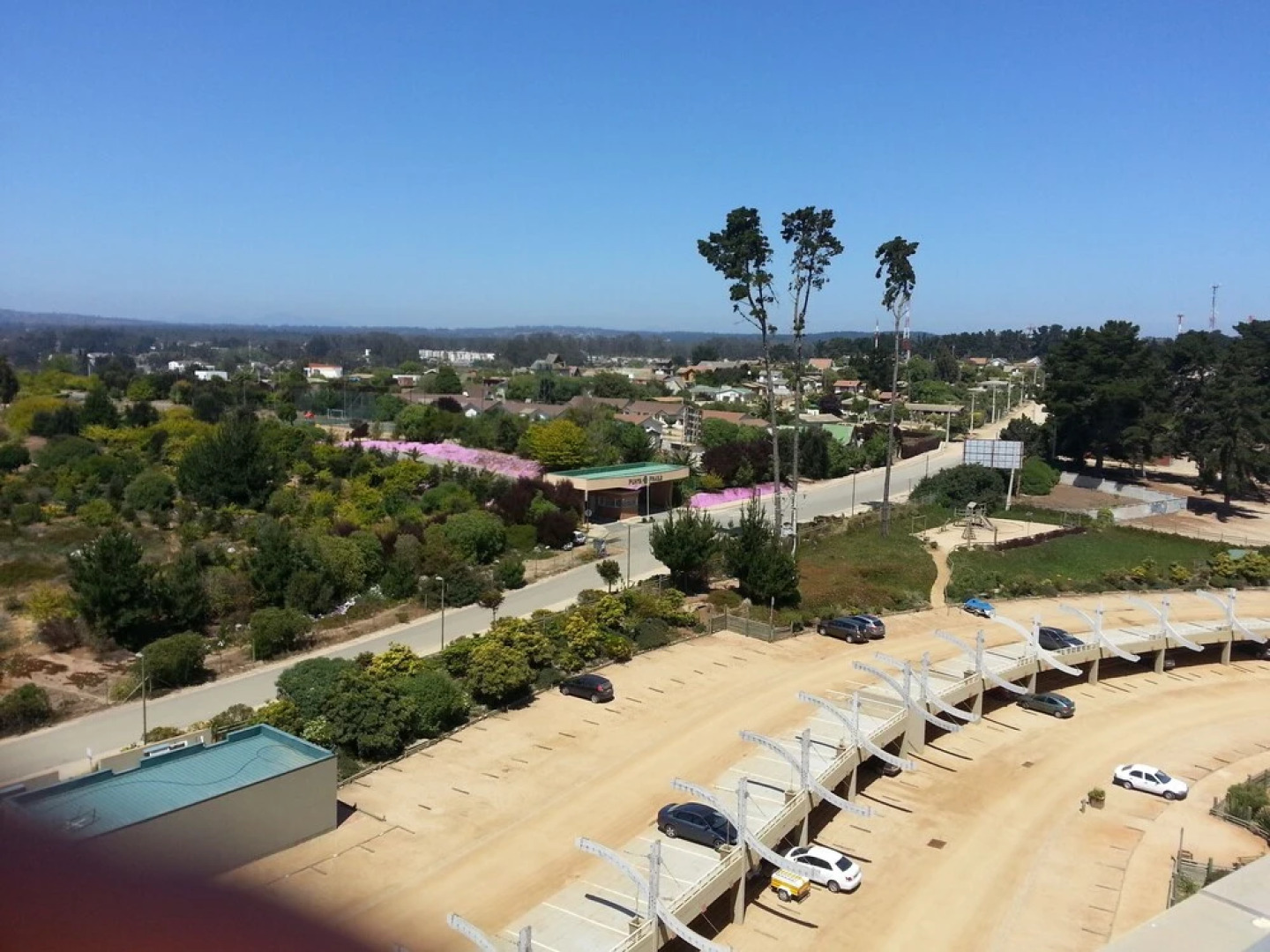 Pinares del Canelillo