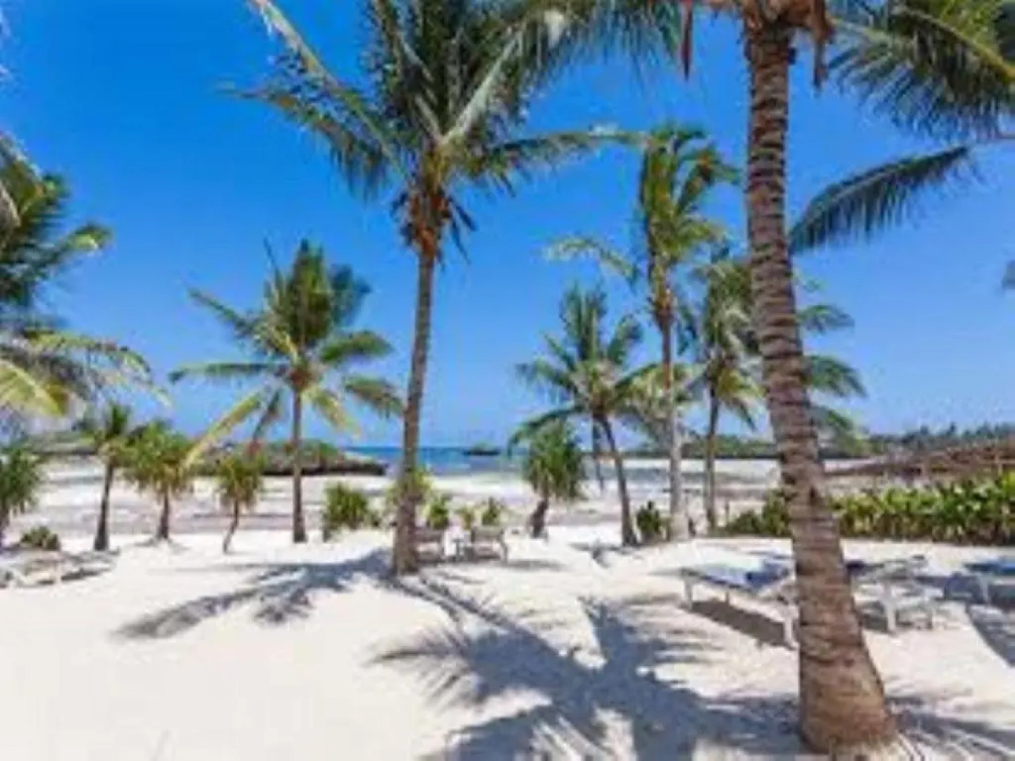 Sun Palm Beach Resort