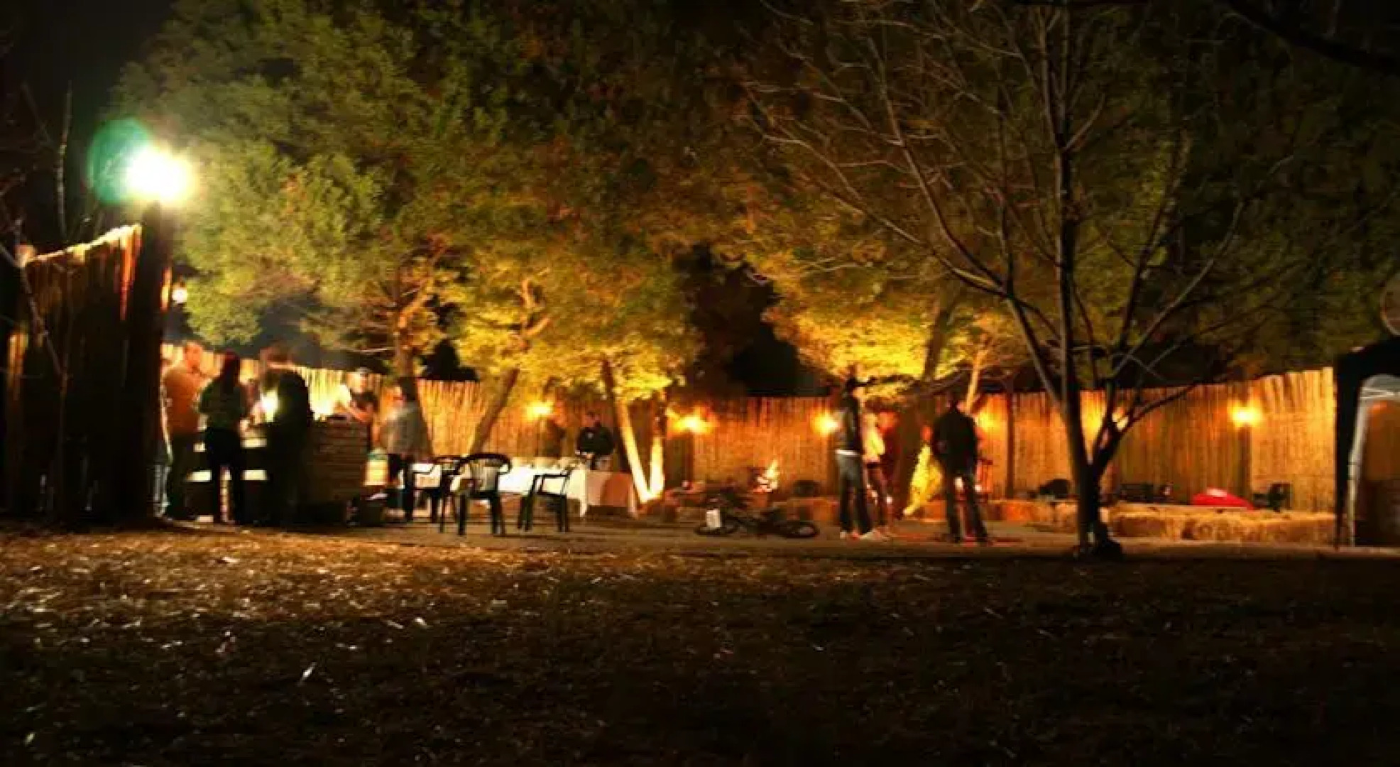 The Trees Venue