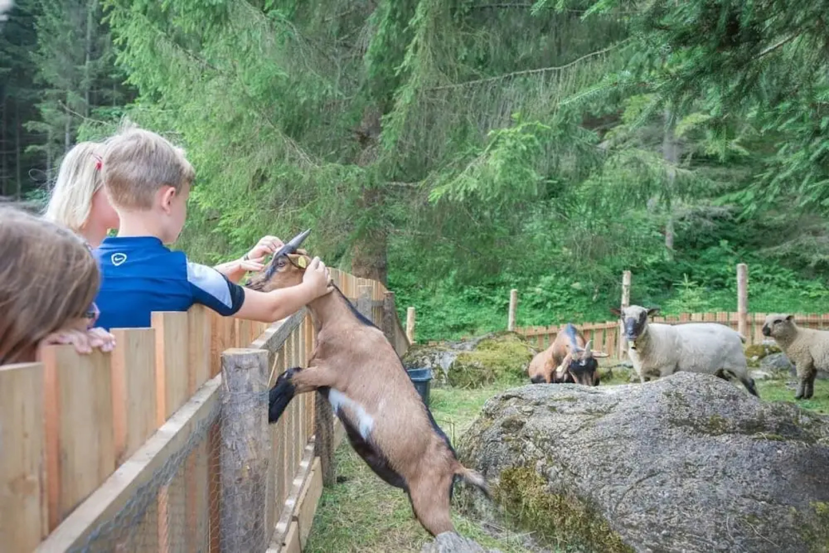 Bio-Bauernhof Stockham