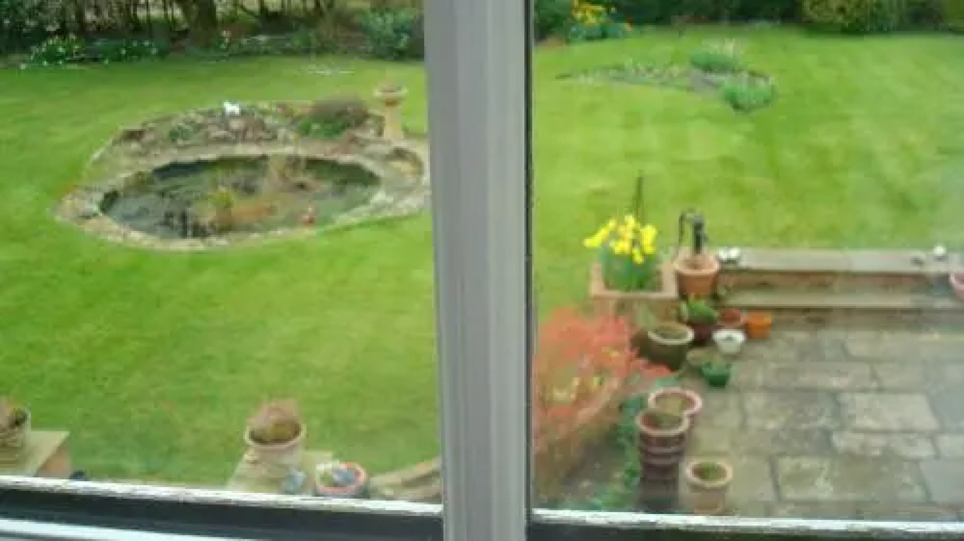 The Homestead Bed & Breakfast