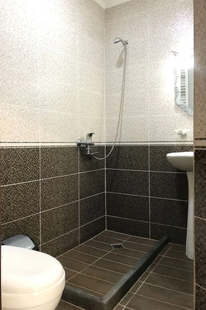 Отель Meskheti Palace