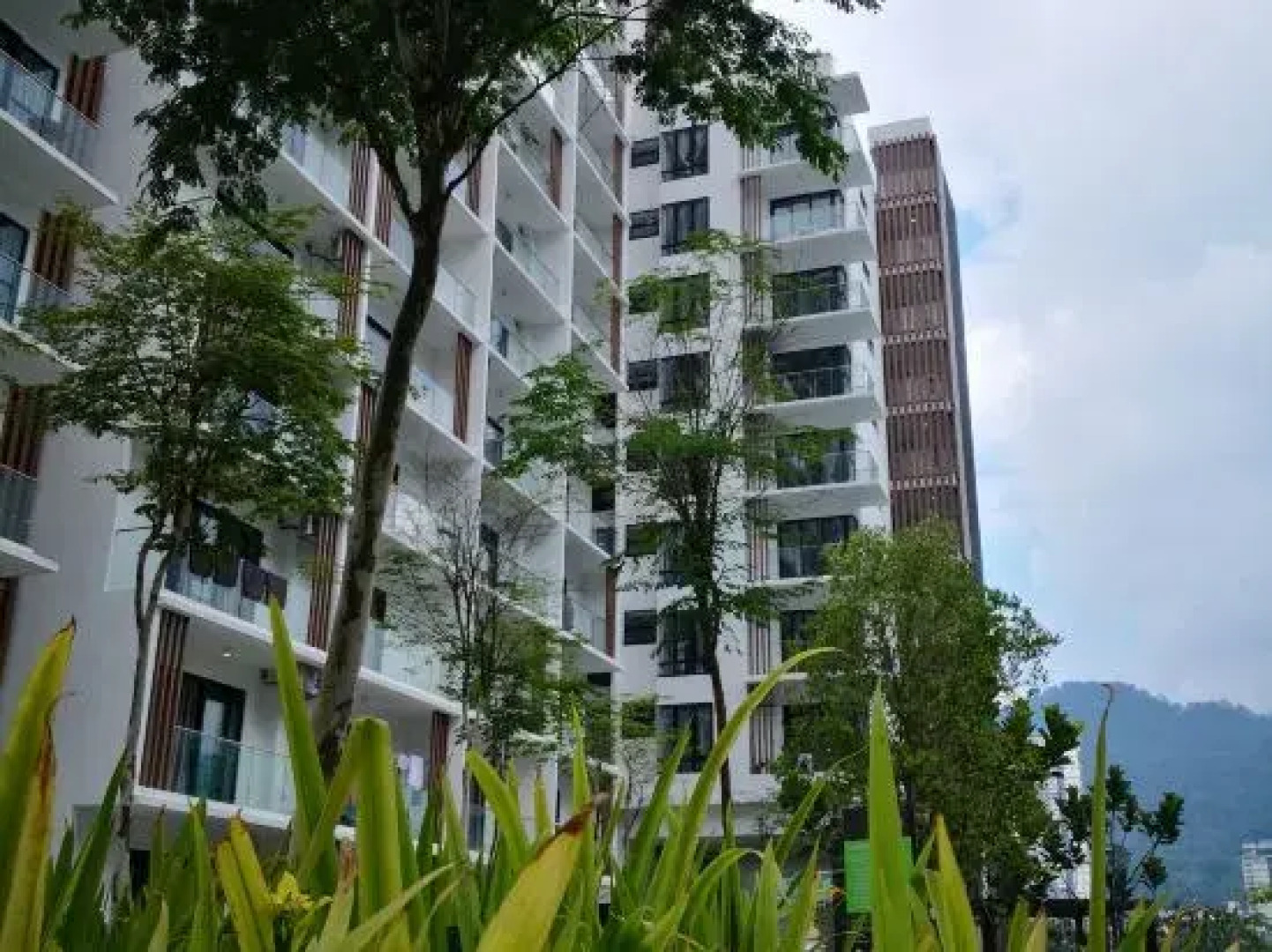 Family Suite Midhills Genting Highlands Free Wi-Fi