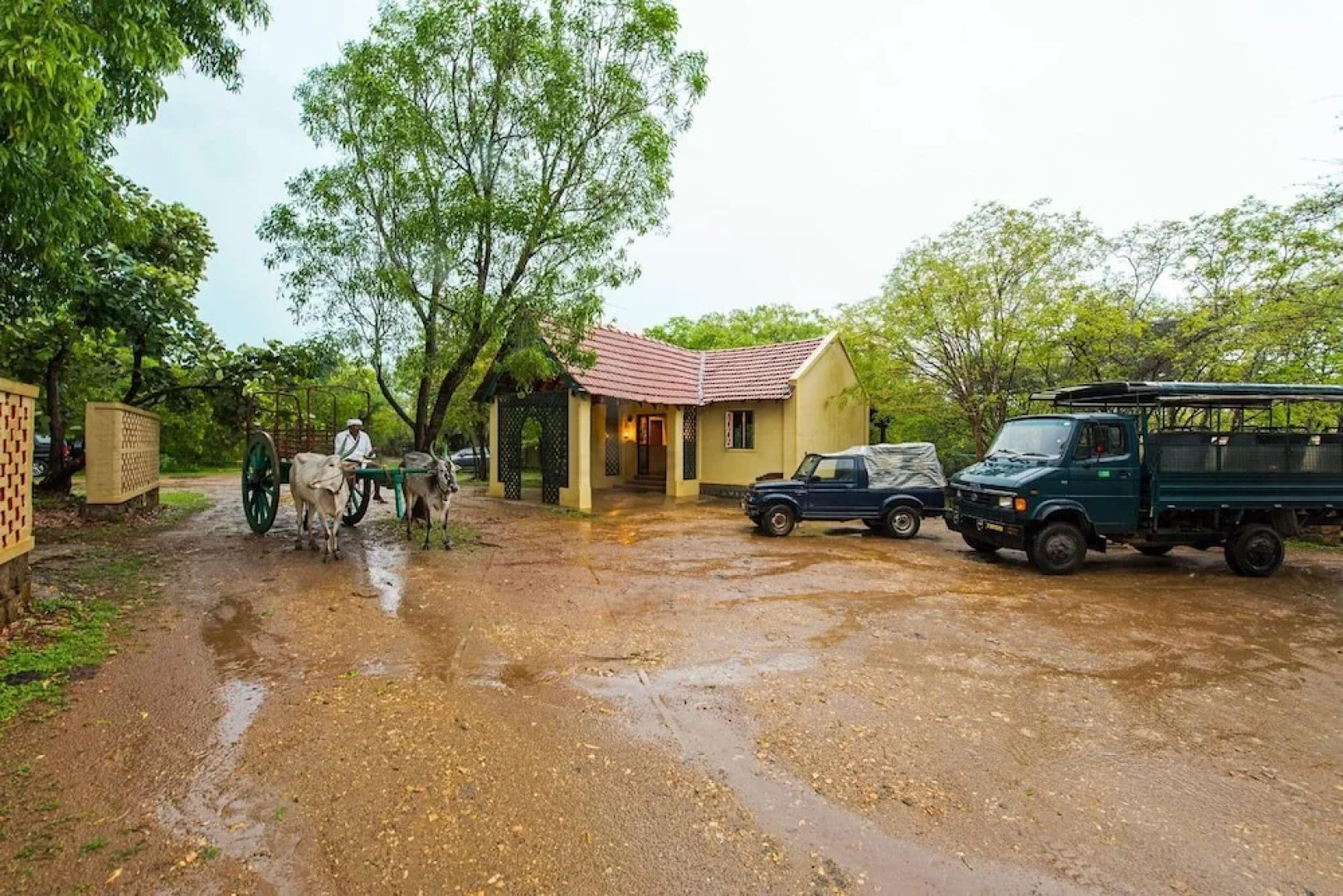 The Windflower Jungle Resorts and Spa