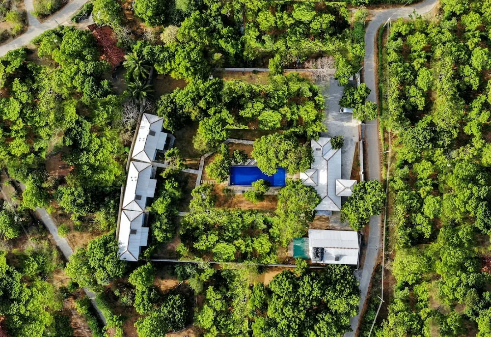 Arana by Forest Trails