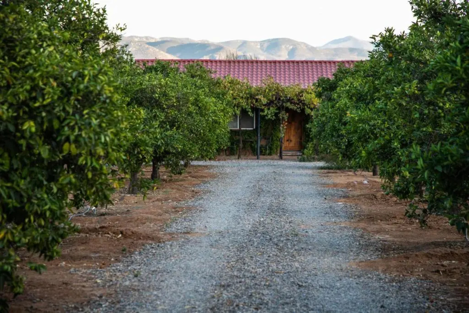Terra Del Valle Bed & Breakfast