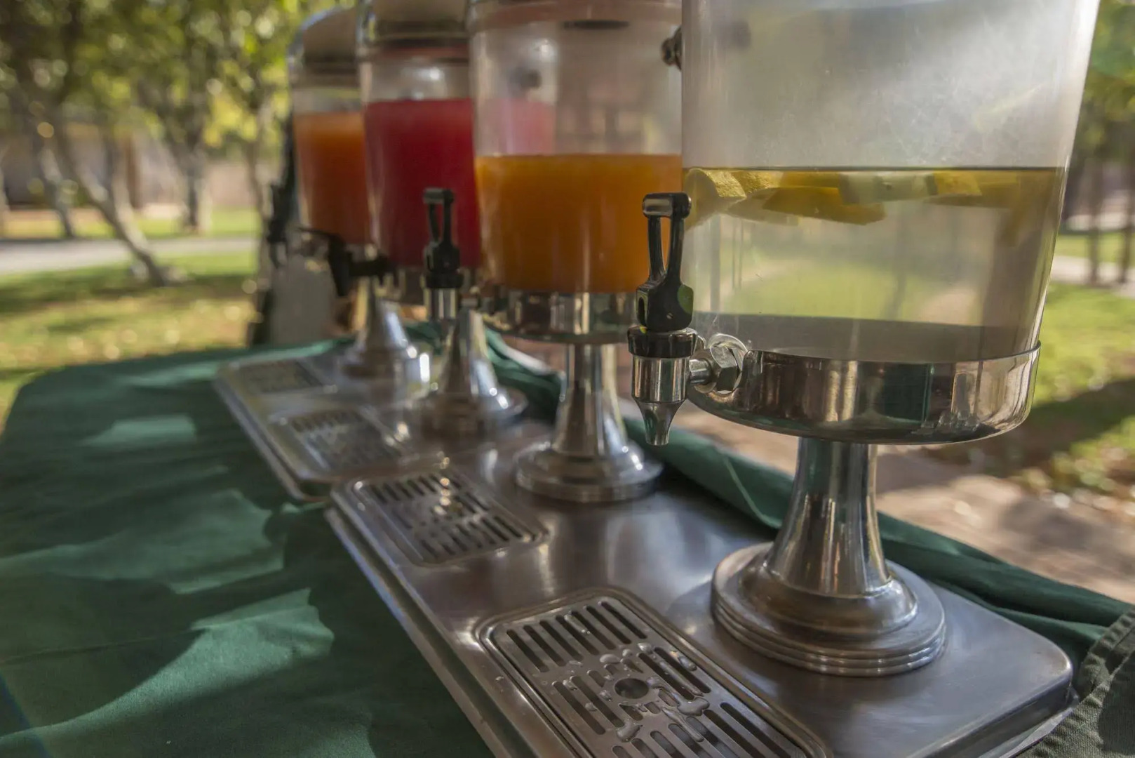 Gondwana Damara Mopane Lodge