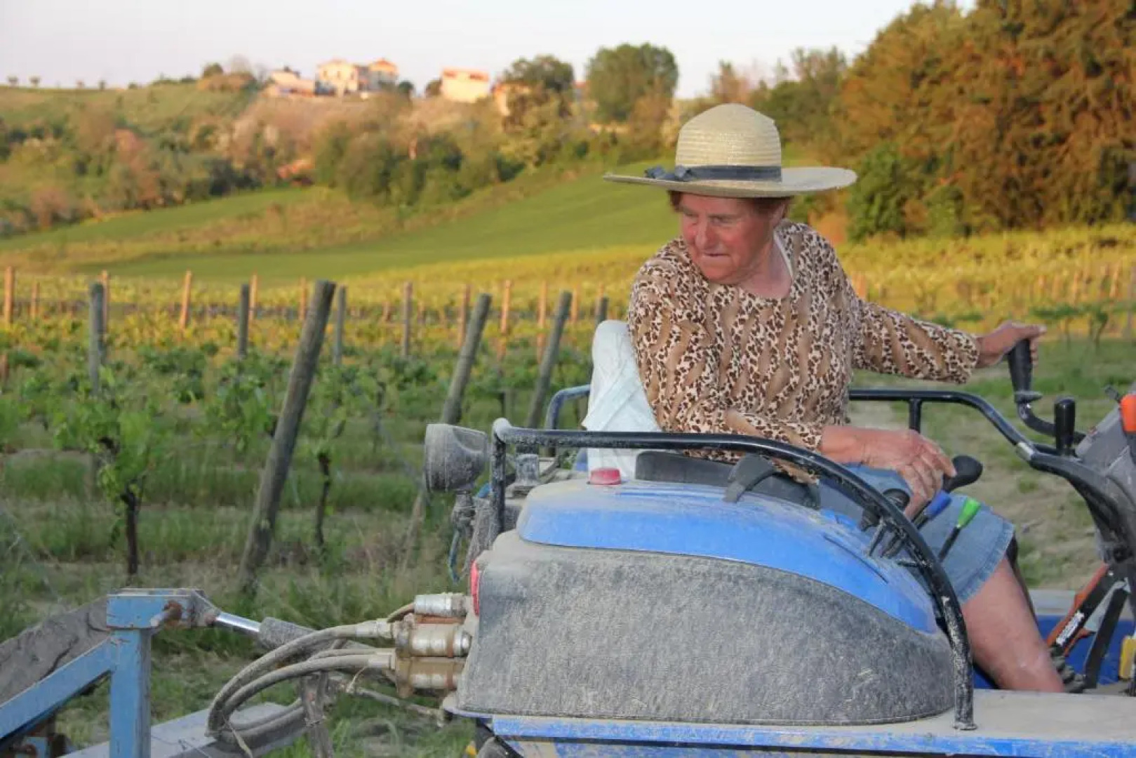 Agriturismo San Michele