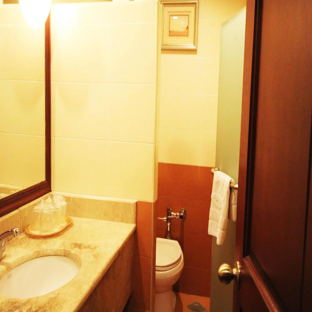 Sarrosa International Hotel and Residential Suites