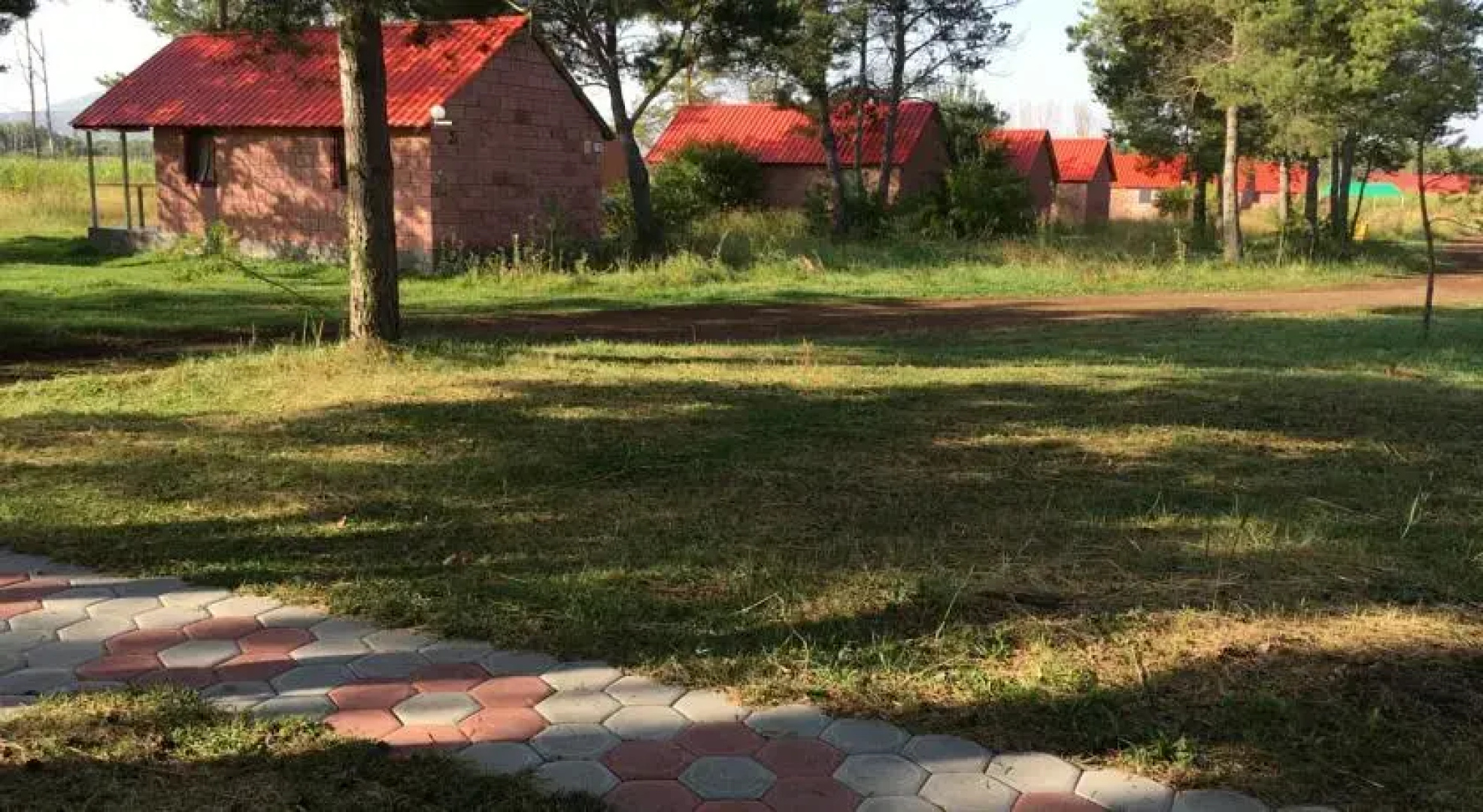 Lavanda City