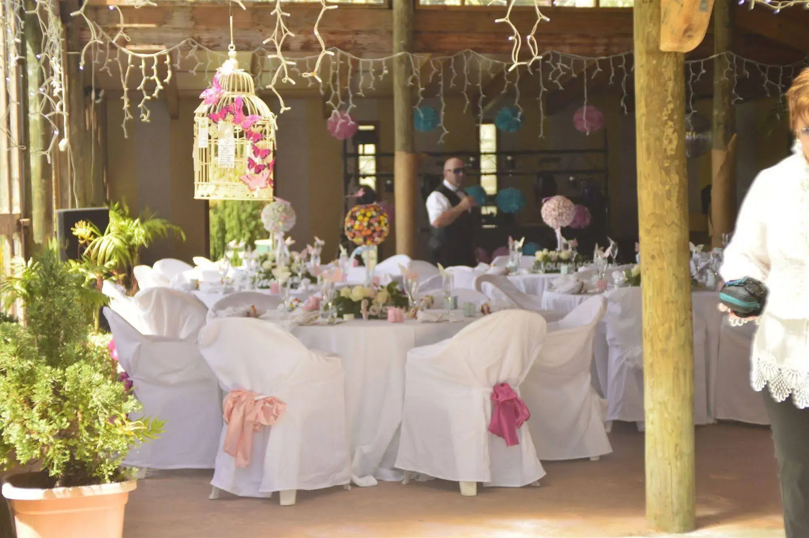 Bethells Beach Cottages