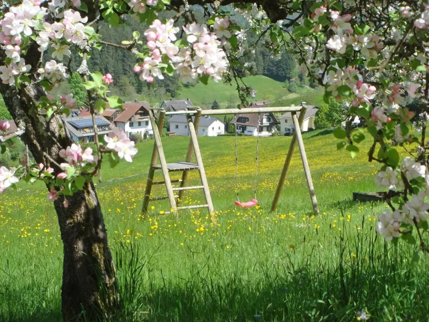 Freyenh fe Baiersbronn