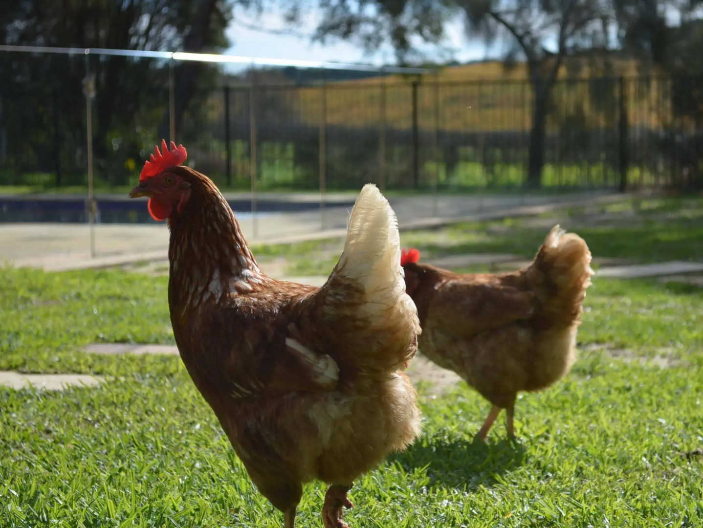 Amande Bed and Breakfast