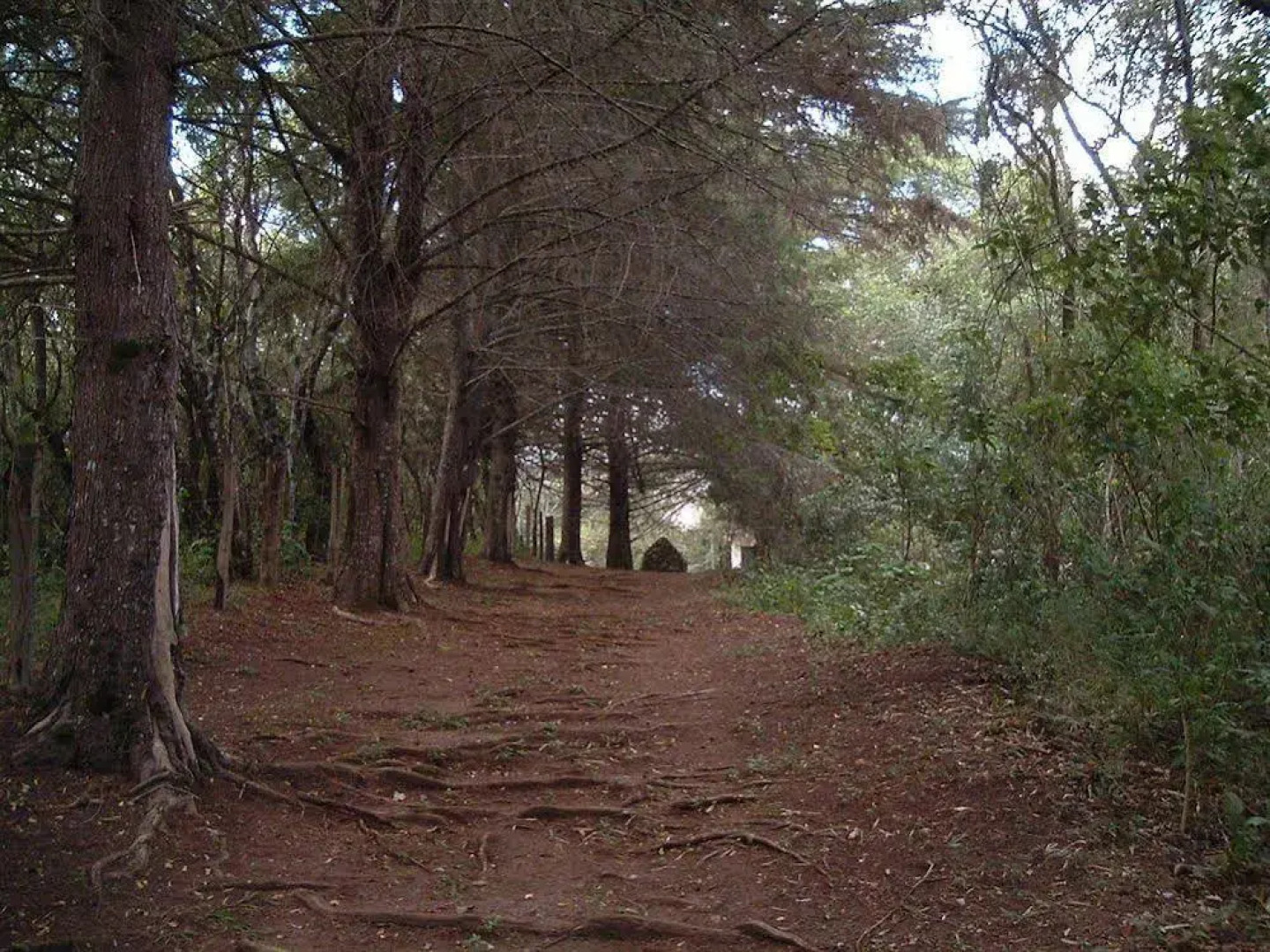 Hotel Rosa Dos Ventos