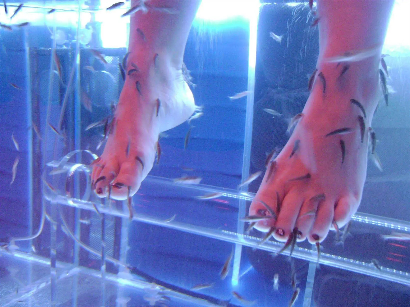 Hôtel Spa du Béryl