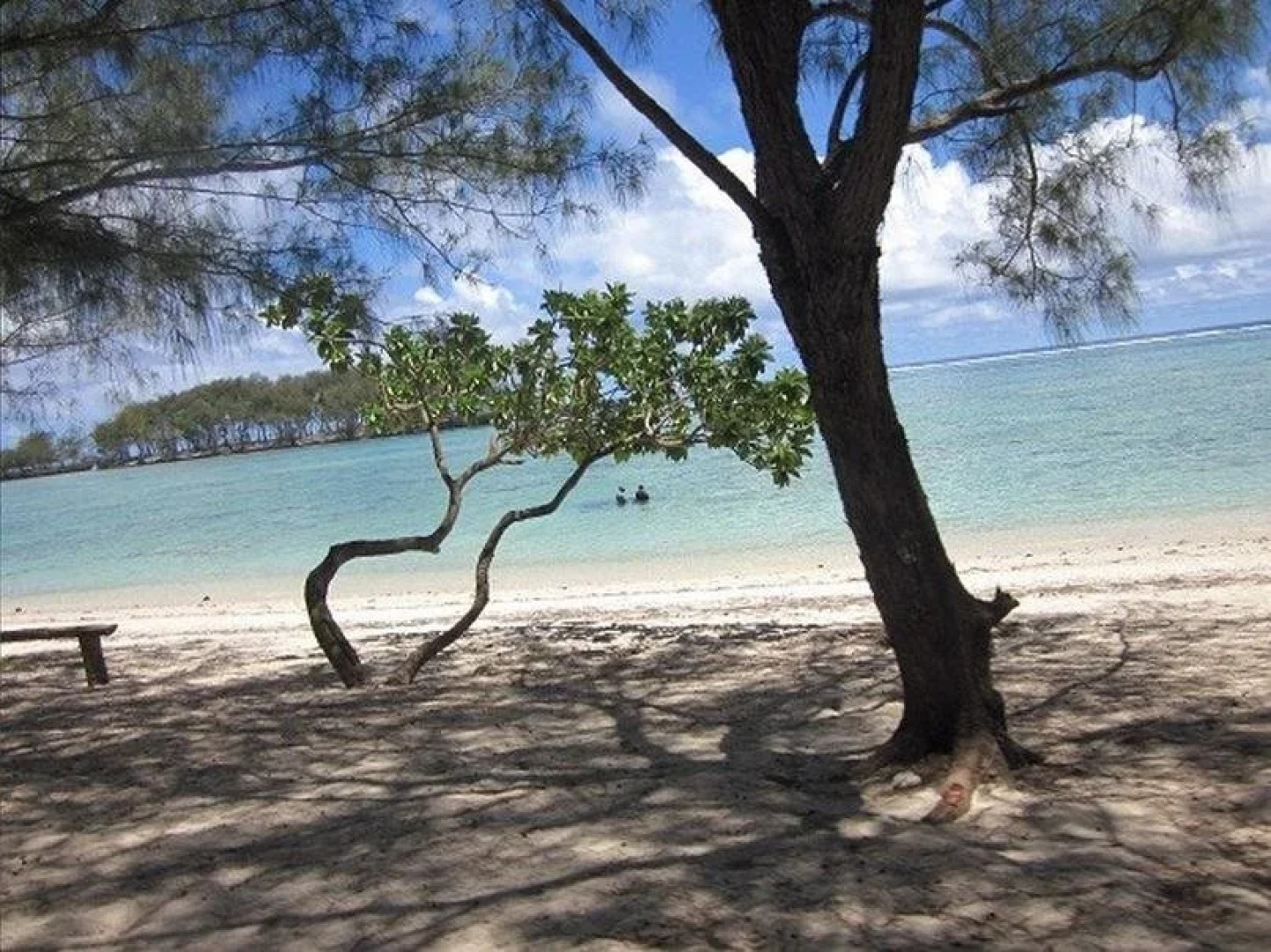 Pension La Perruche Rouge