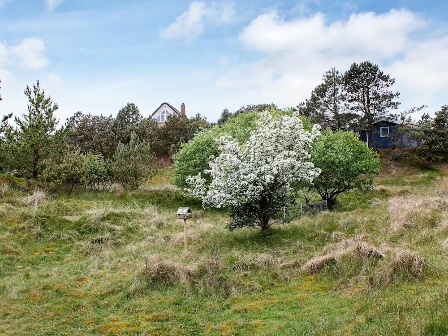 Cozy Holiday Home in FanÃ¸ near Sea
