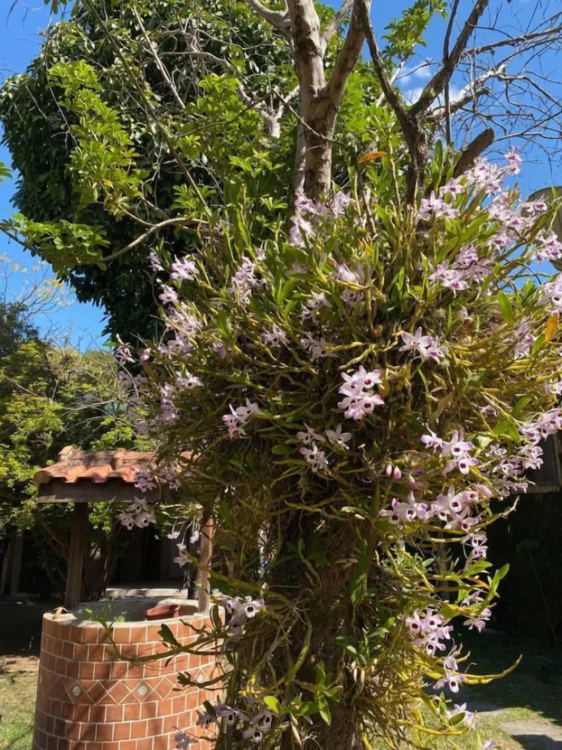 Village Colonial Hotel