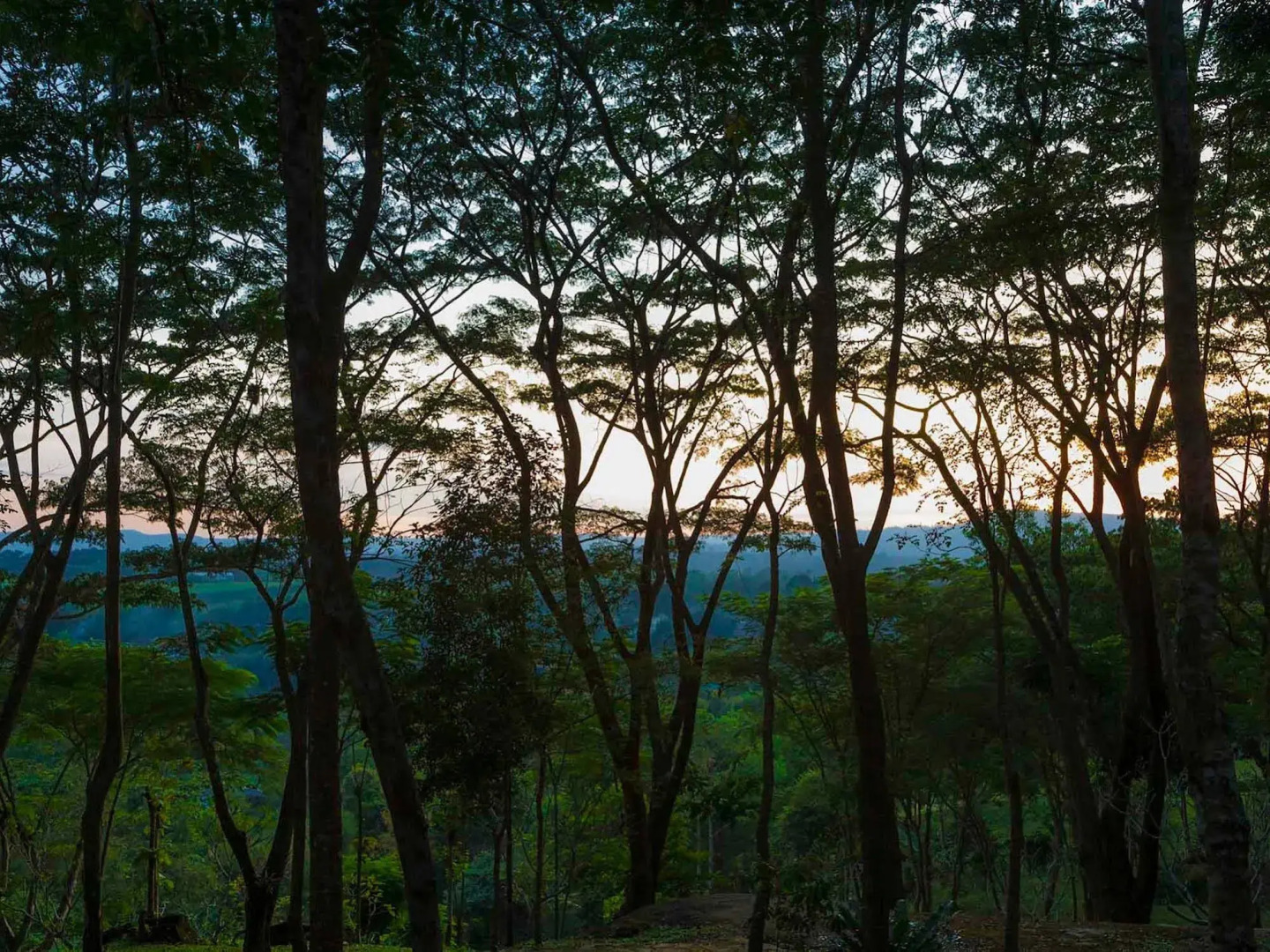 Village Farm and Winery