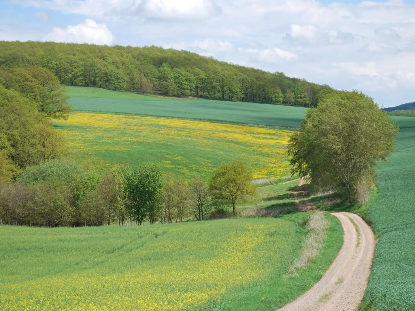 Relaxing Watermill Hideaway