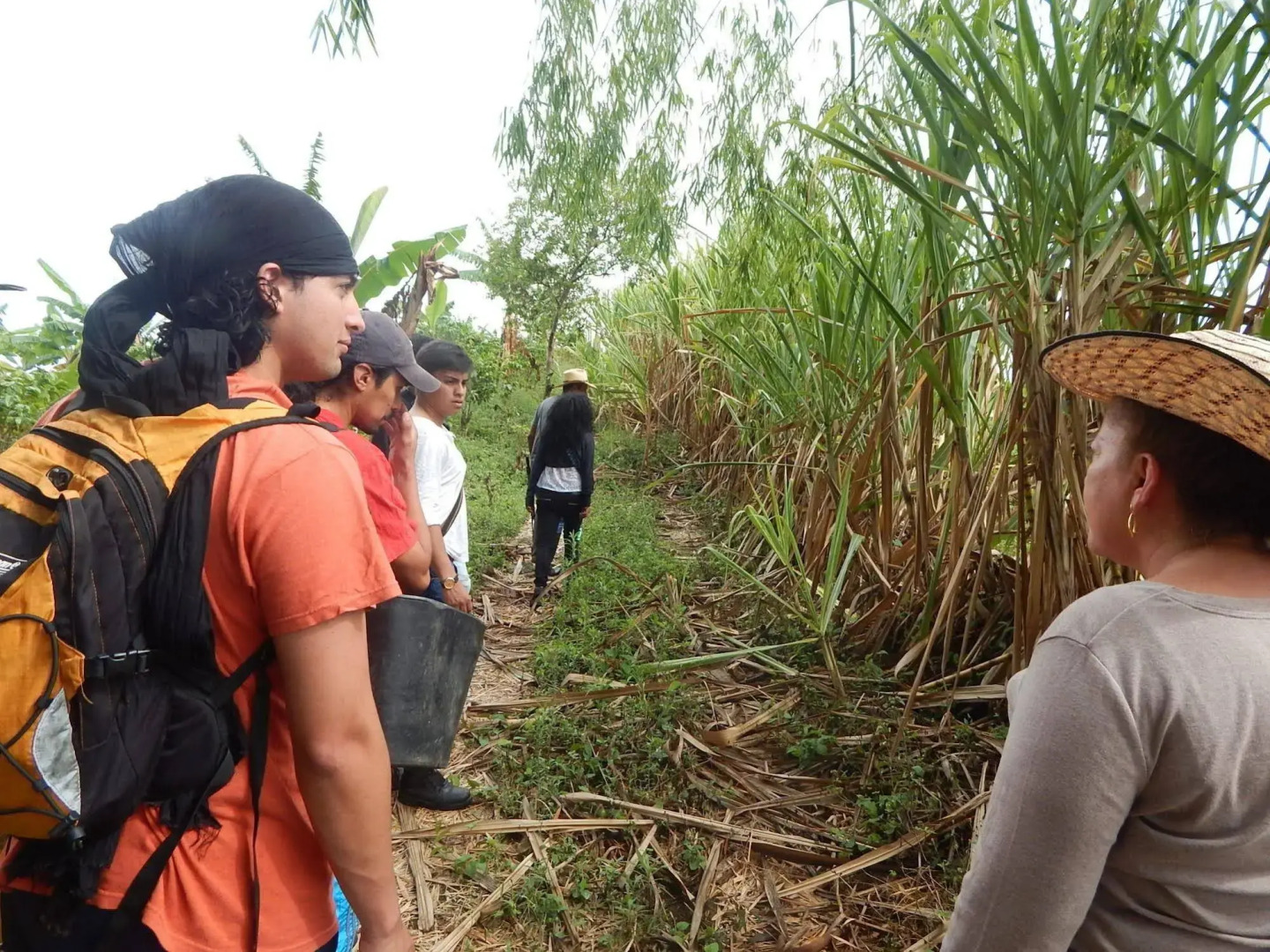 Finca Hotel La Rivera