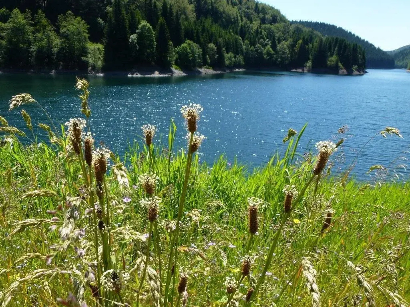Gasthof Rennsteighütte