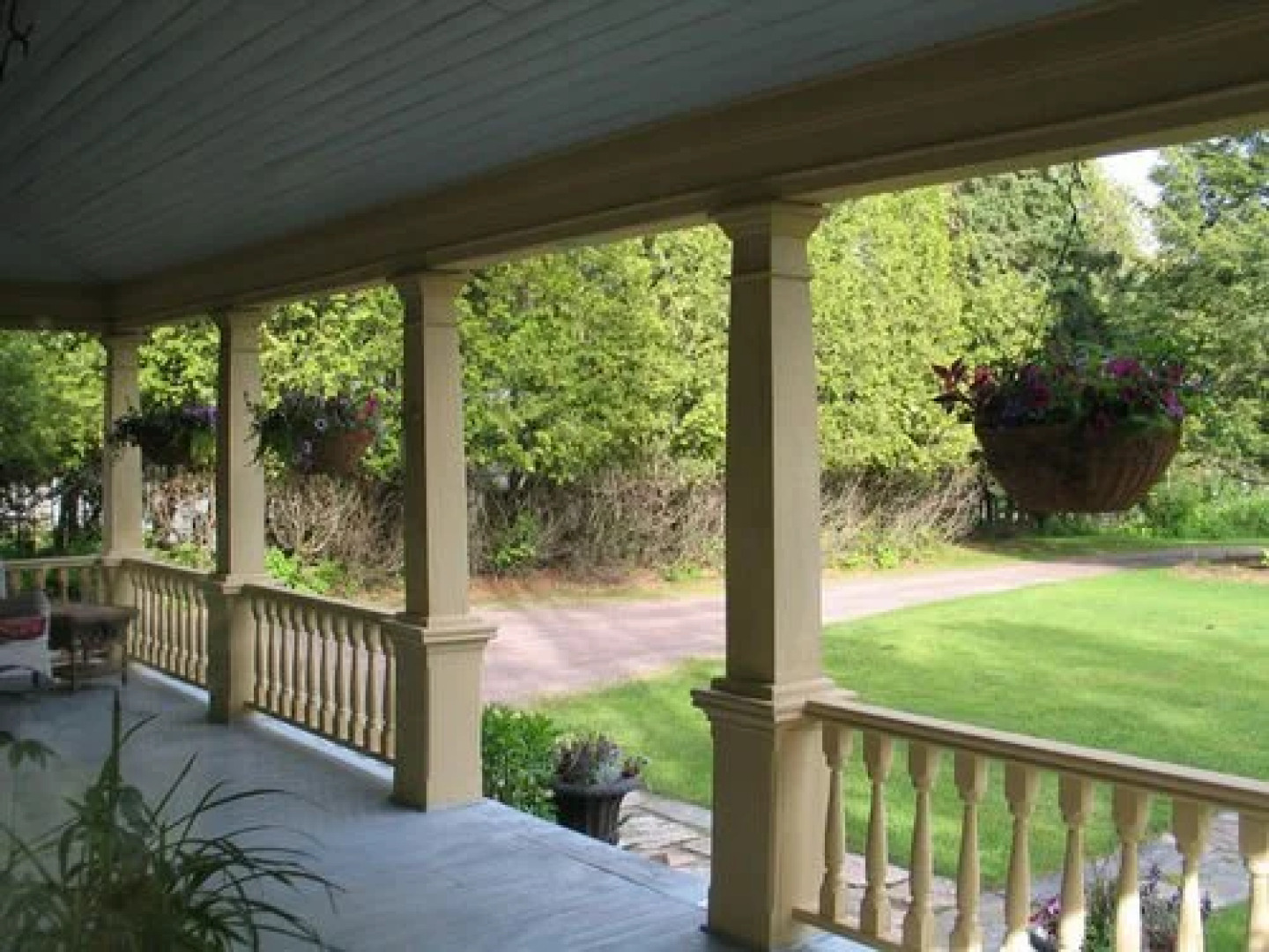 Wild Swan Bed and Breakfast