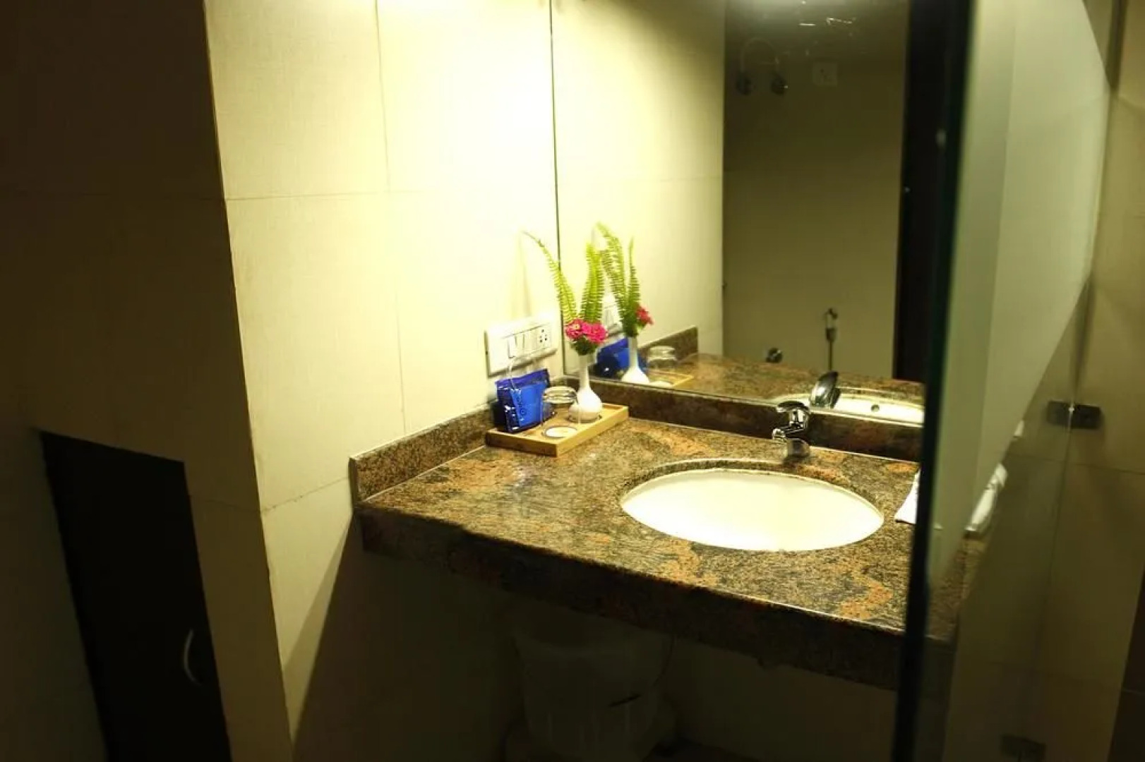 Treebo Trend GK Conifer