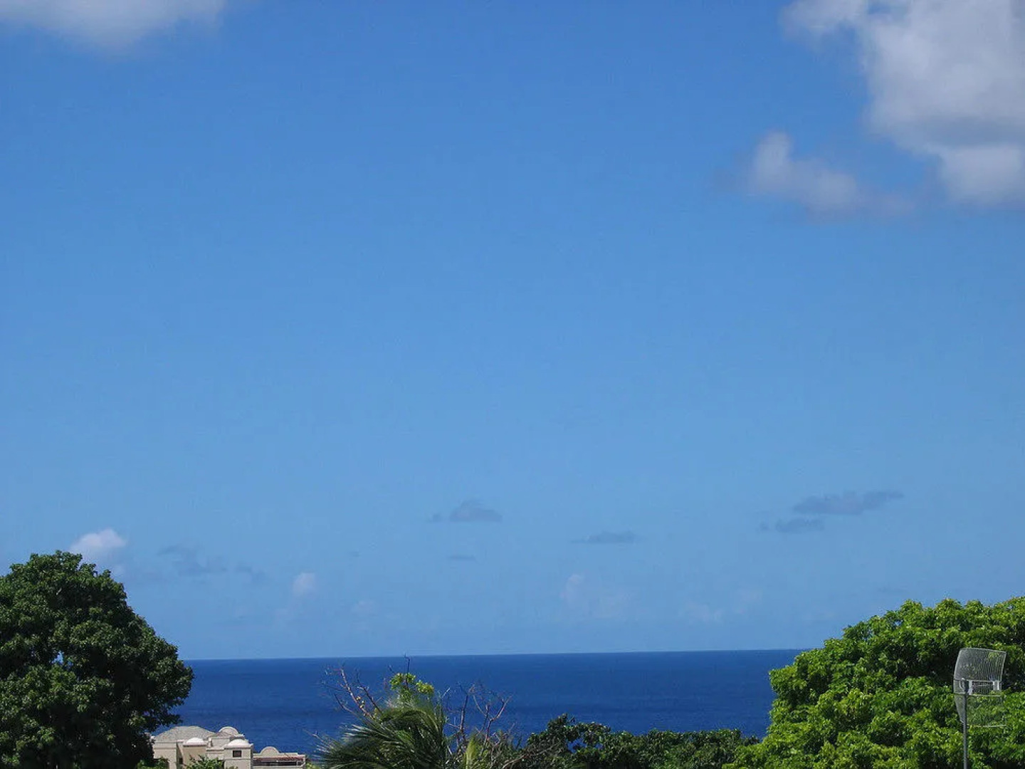 Palm Paradise Guest House and 2 Apartments