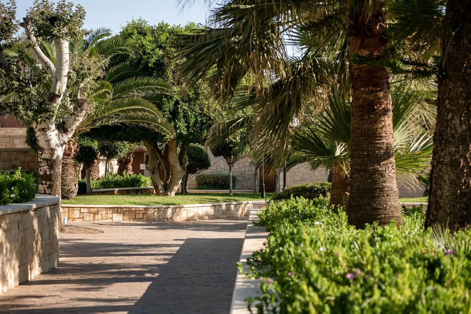 Caldera Creta Paradise