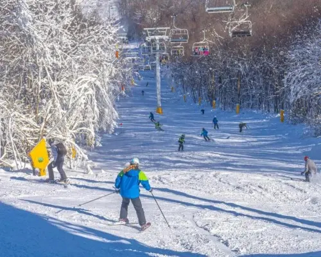 Eagle Trace at Massanutten - 4 Nights, Massanutten, USA