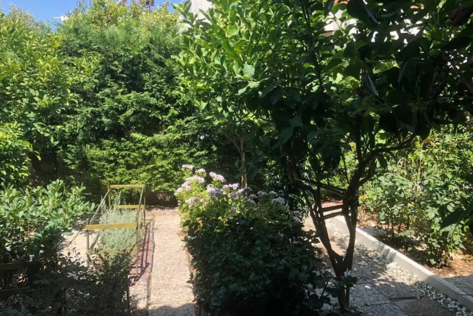 ΑΝΑΚΑΙΝΙΣΜΕΝΗ ΜΟΝΟΚΑΤΟΙΚΙΑ 125 τμ ΣΤΟ ΚΕΝΤΡΟ ΜΕ ΚΗΠΟ