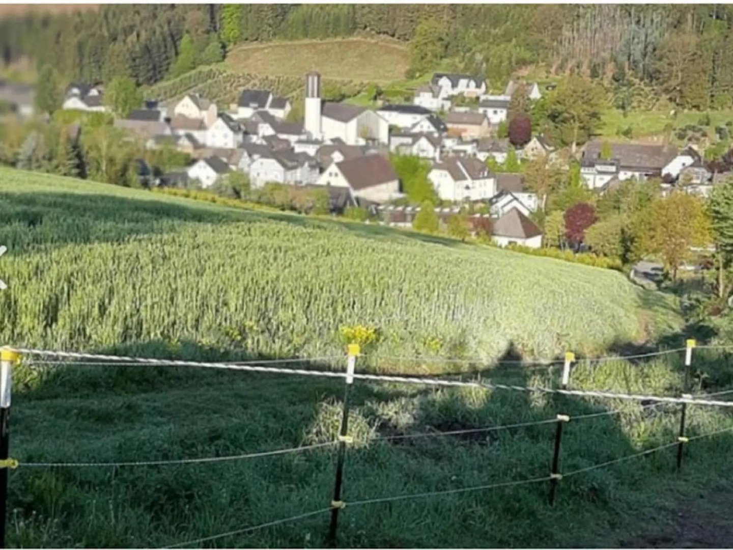 Cosy Apartment in the Beautiful Sauerland