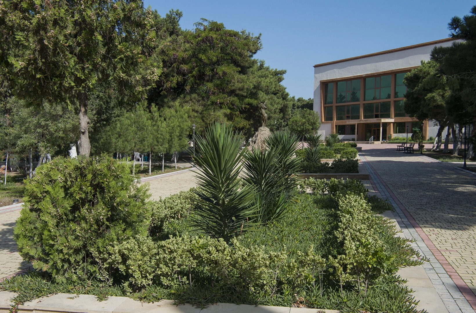 Nevrologicheskij Sanatorij Gjuneshli