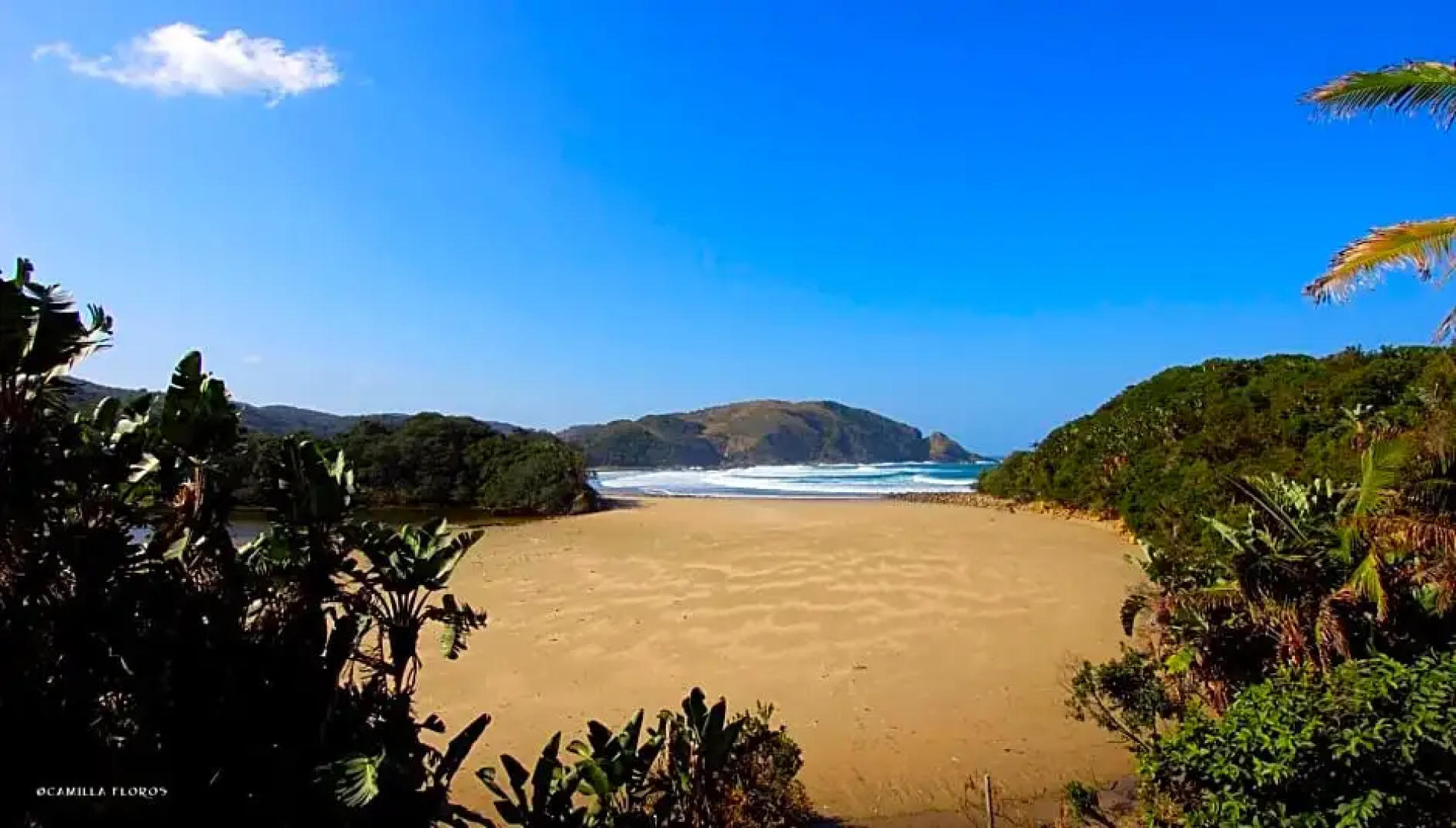 The Lodge on the Beach