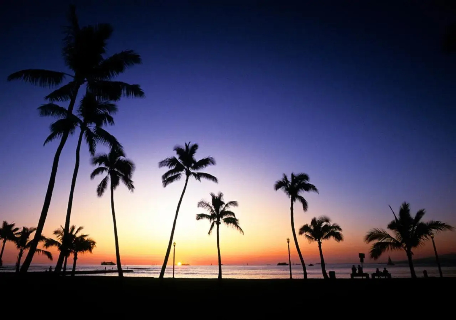 Exotica - The Beach Resort