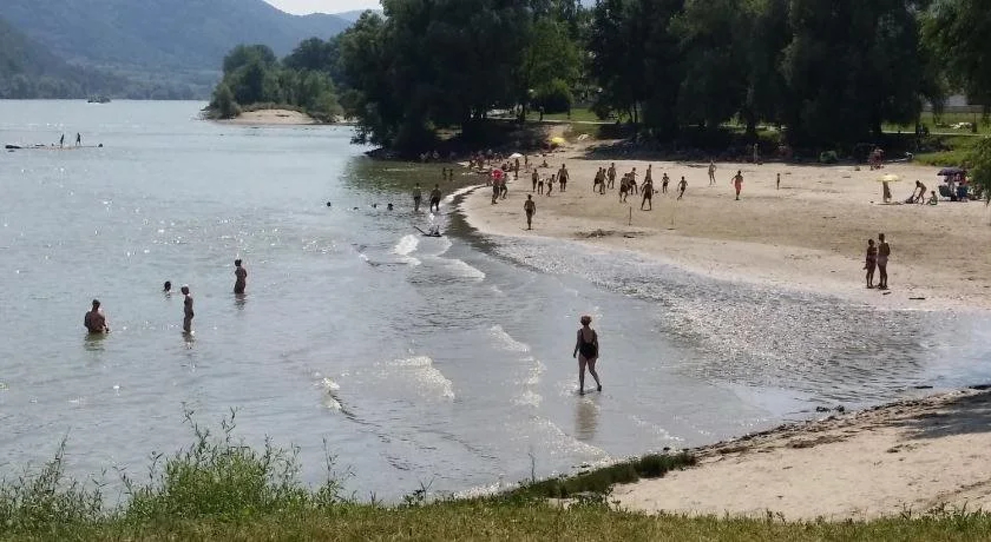 Donauwirt Hotel - Restaurant