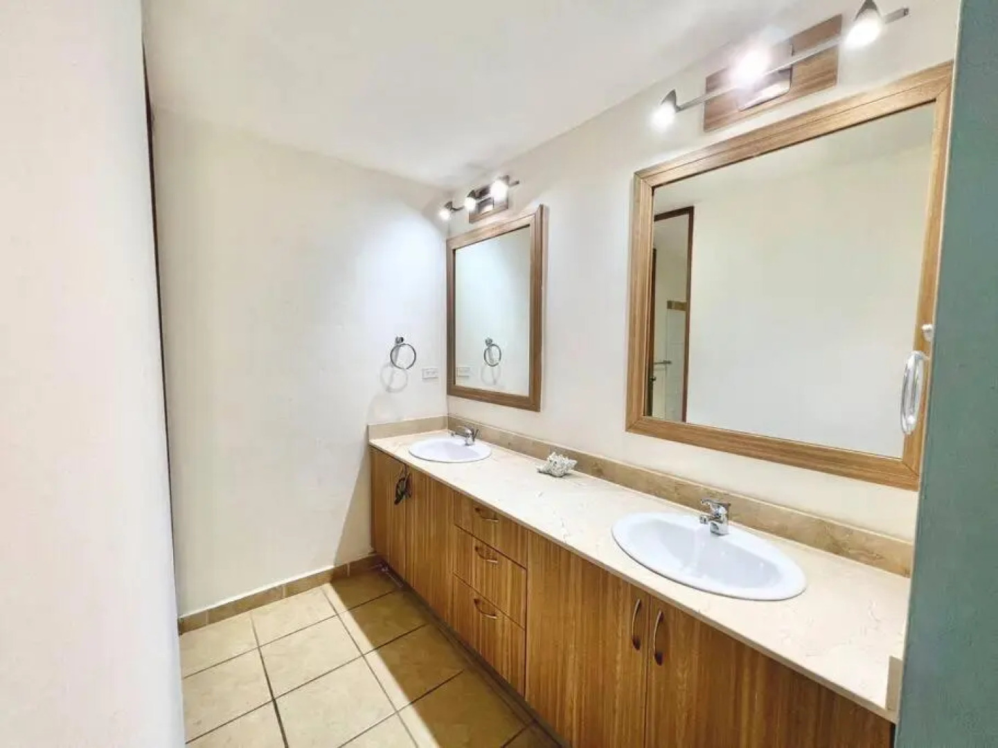 Palomino Island View