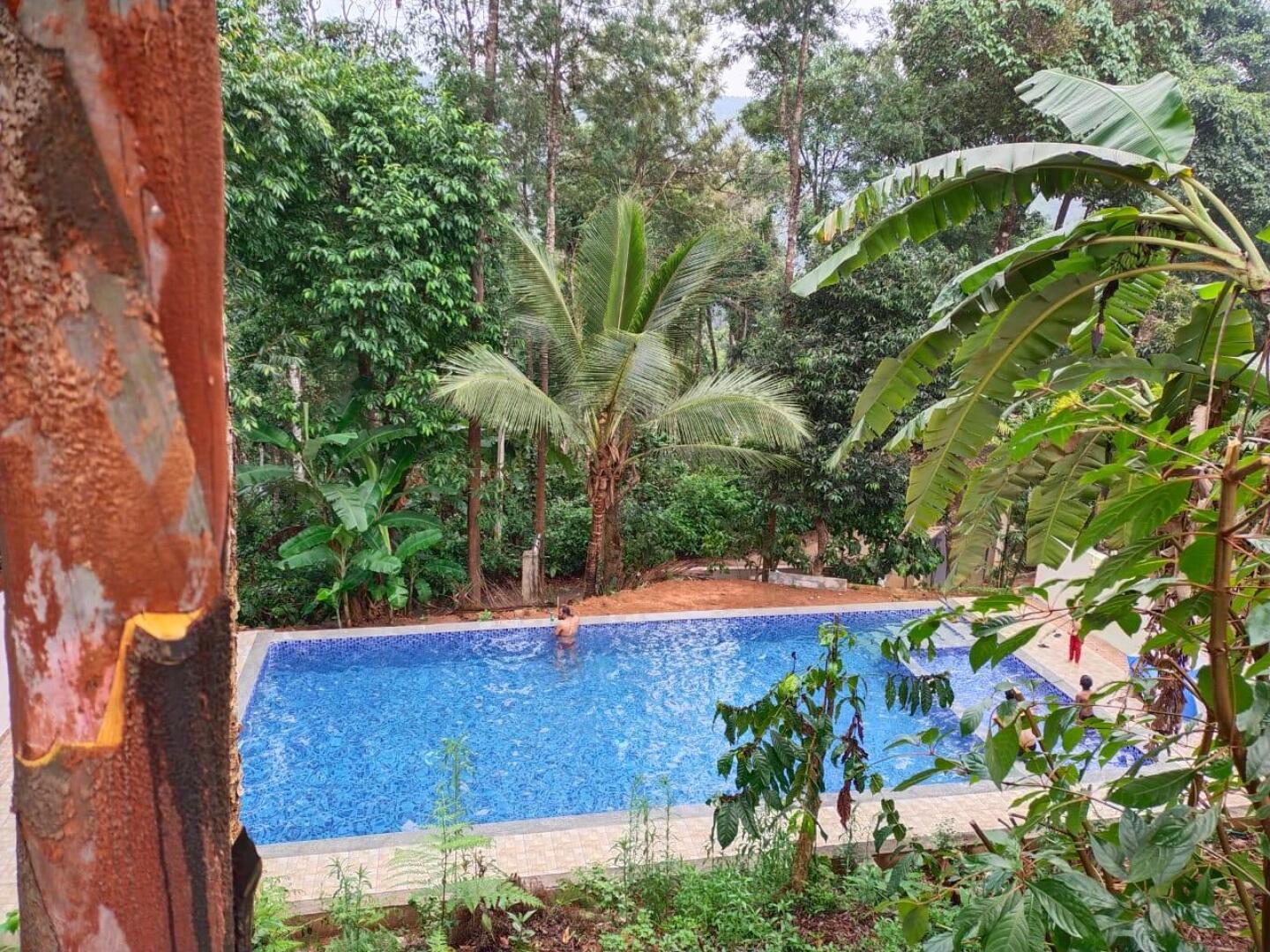 La Flora Jungle Hill Resort - Coorg