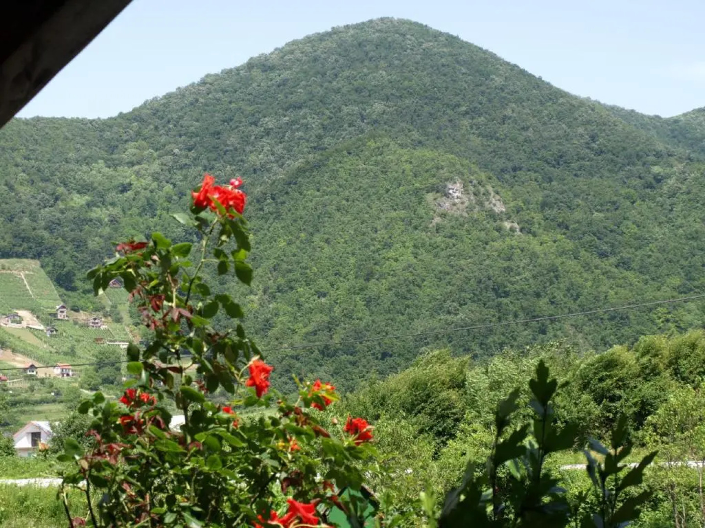 Apartments Kamenecki