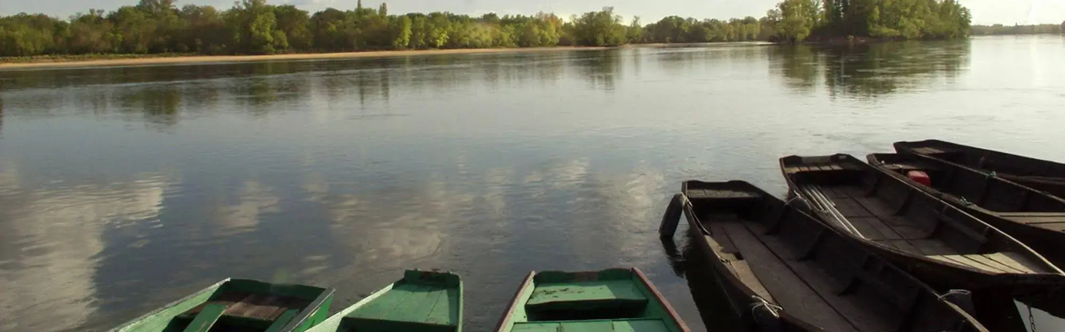 Domaine de la Roche Bellin