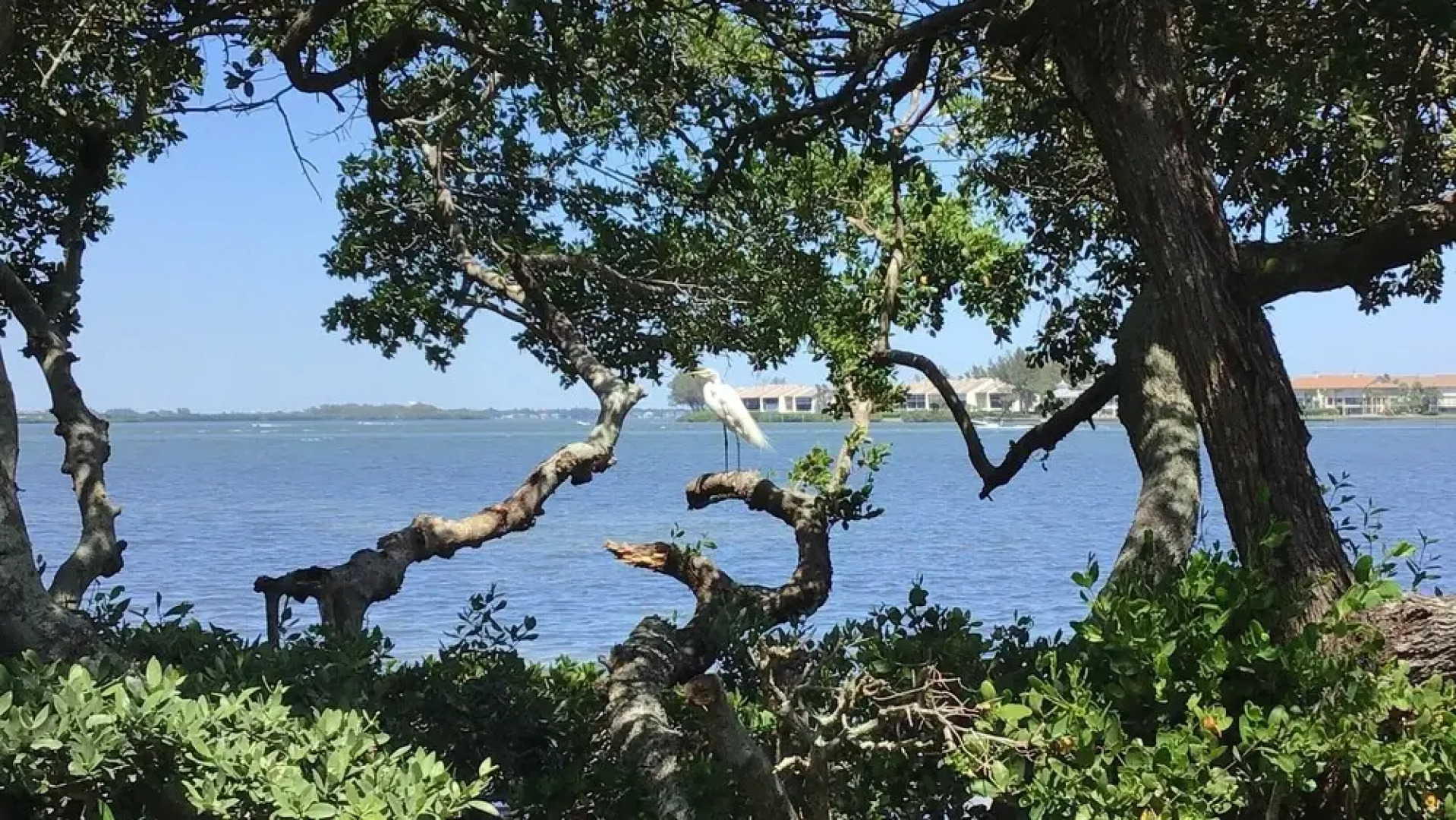 Runaway Bay Resort by BBG