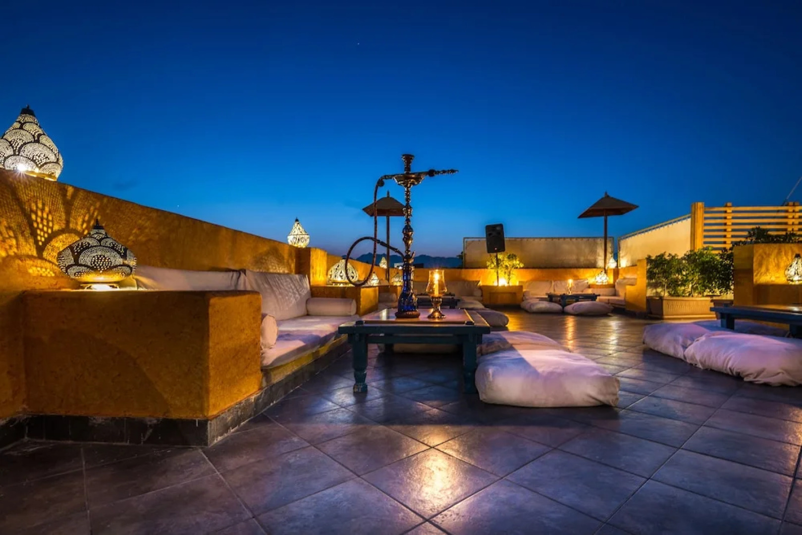 Camel Dive Club & Hotel