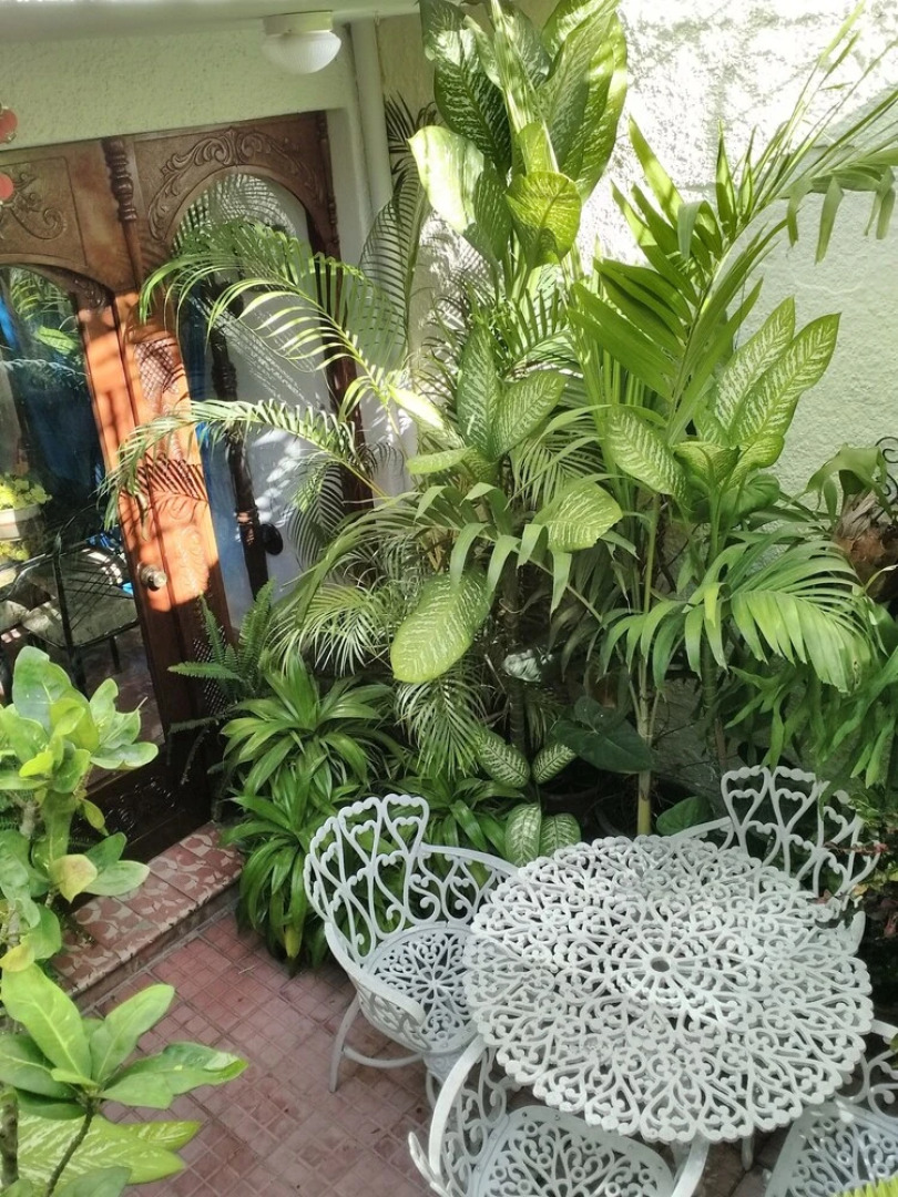 Casa Reyes y Carolina