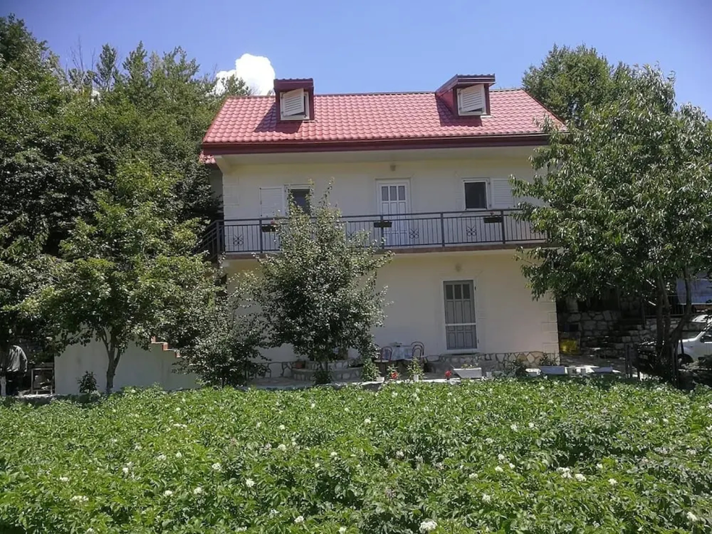 B&B Ljepurice