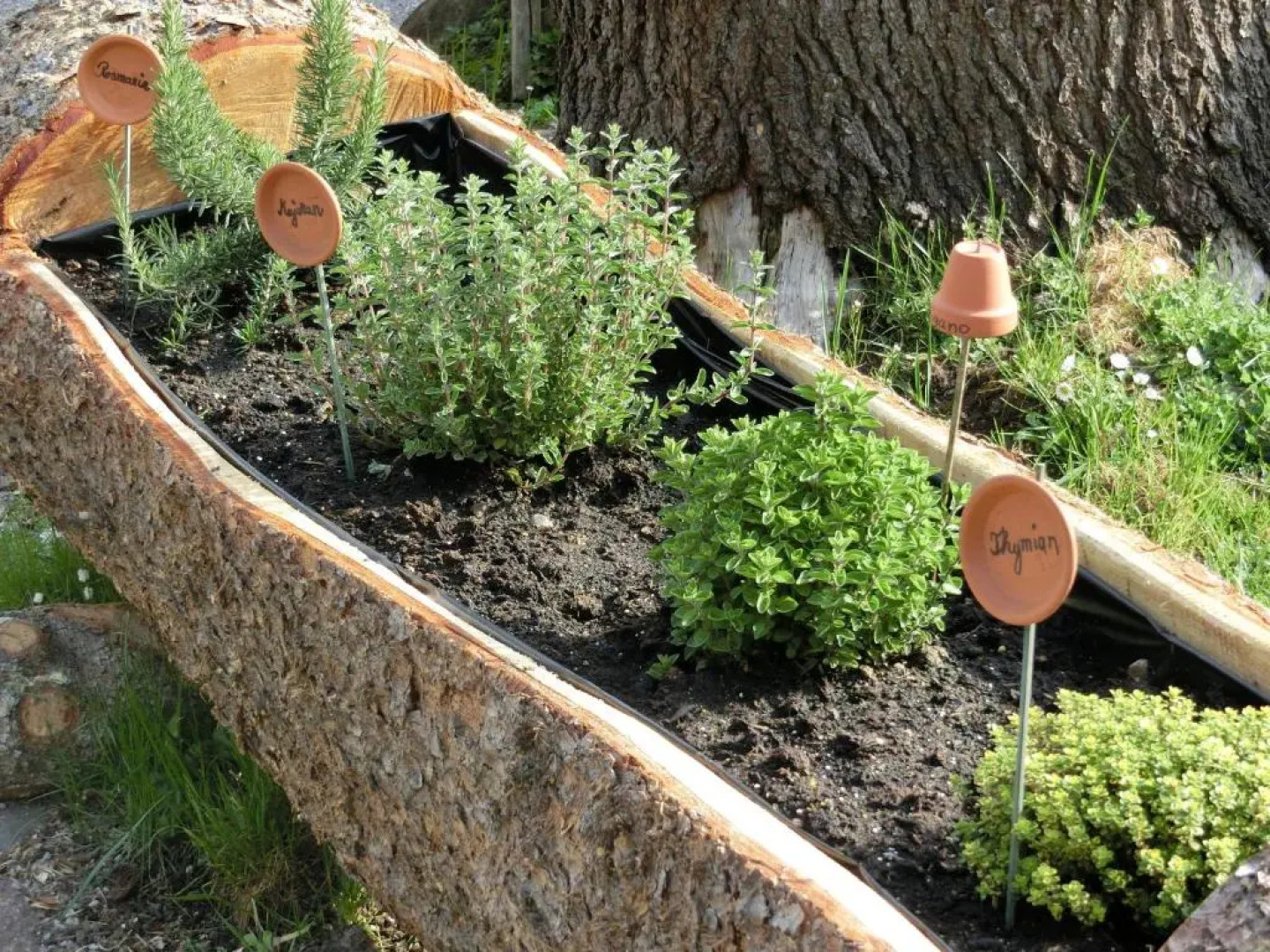 Kreuzwegerhofnals App 1sz Golden