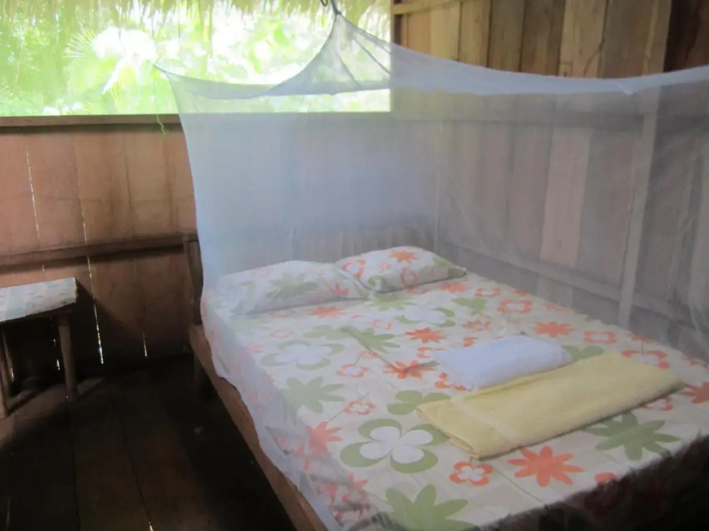 Lodge Jungle Wolf Expeditions